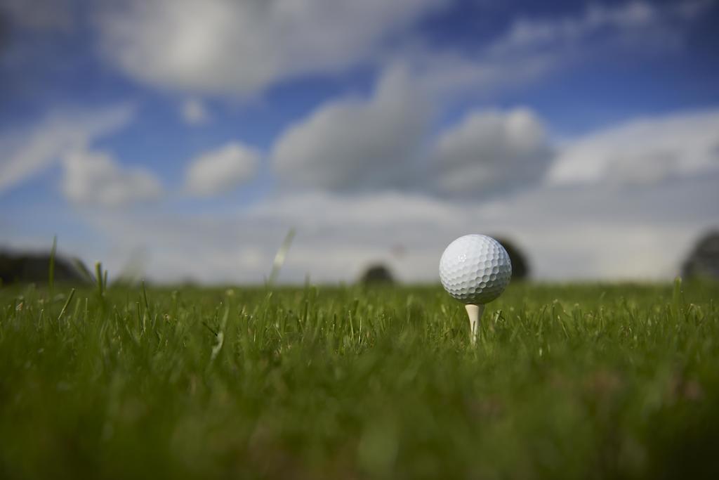 Chateau Du Bois-Guy Golf Parigné Eksteriør billede
