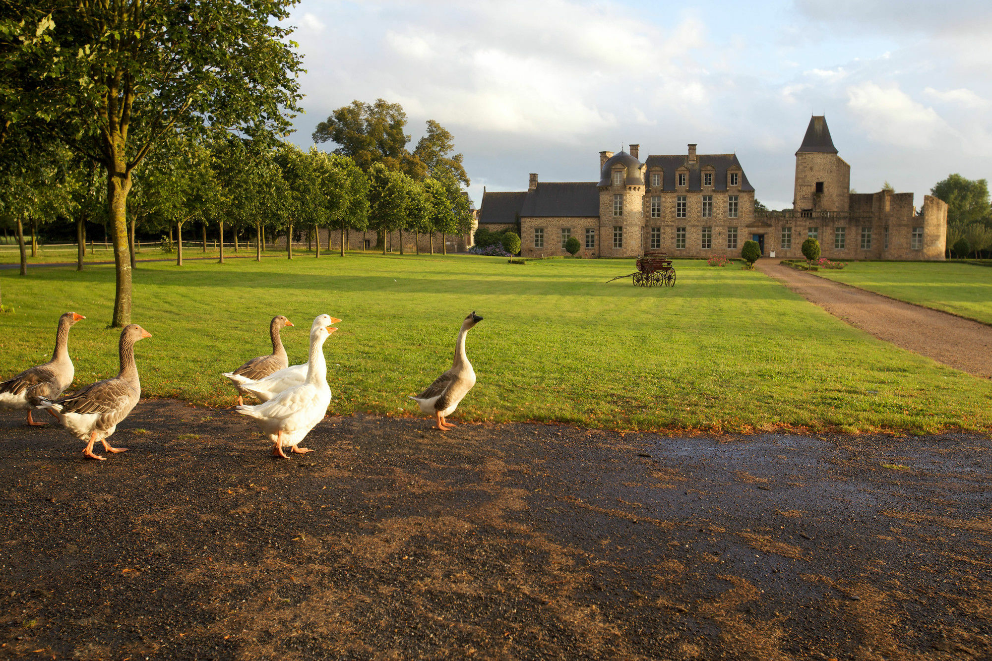 Chateau Du Bois-Guy Golf Parigné Eksteriør billede